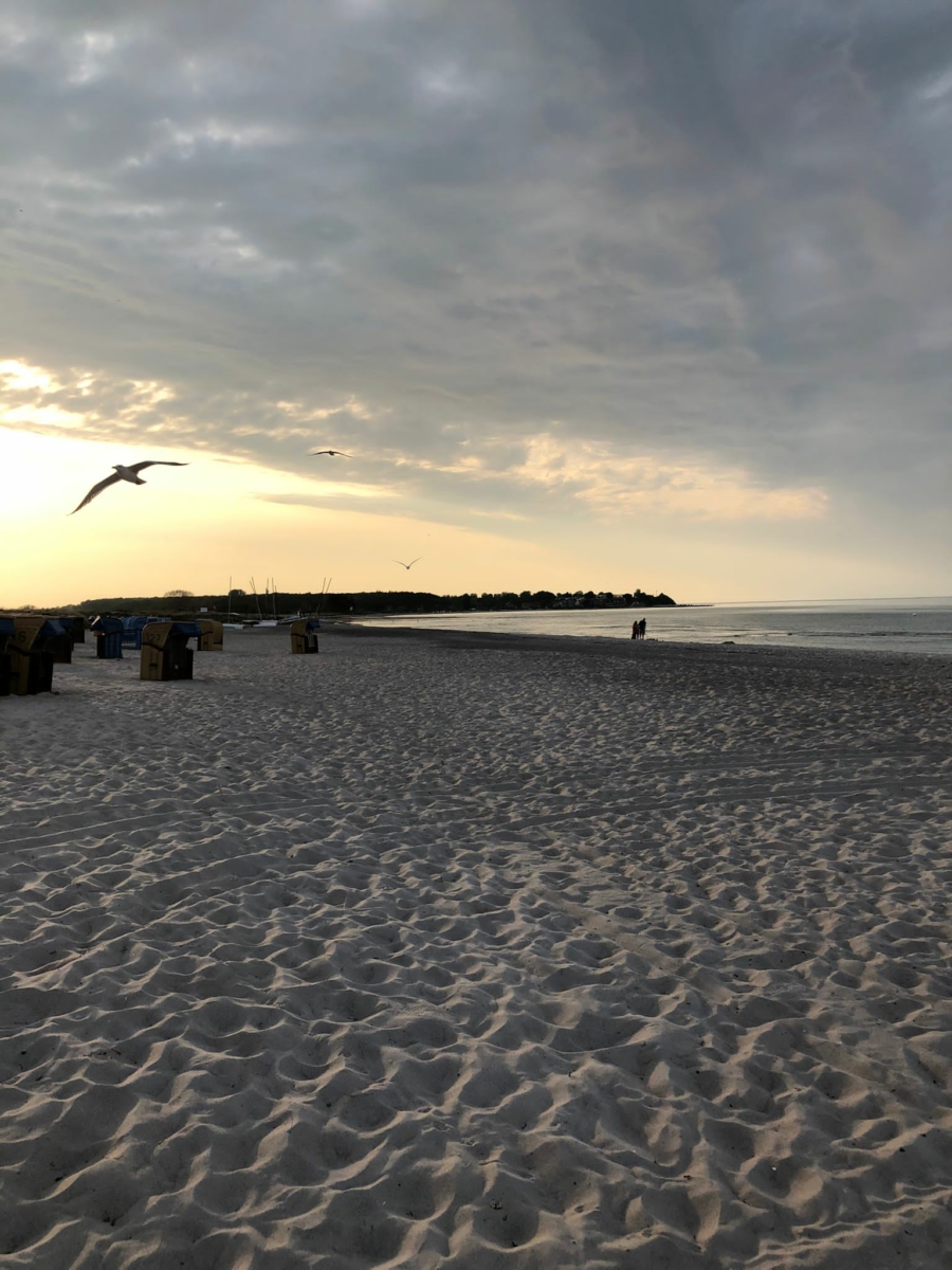 IMG20220623WA0015 Sehlendorfer Strand