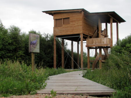 Die Aussichtsplattform am Naturlerbnispfad von Außen