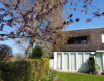 Ferienwohnung „IM WEISSEN HAUS“ / Knoche