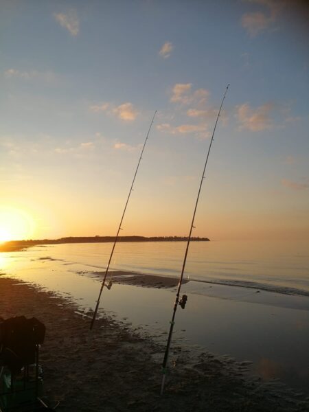 Angeln am Sehlendorfer Strand